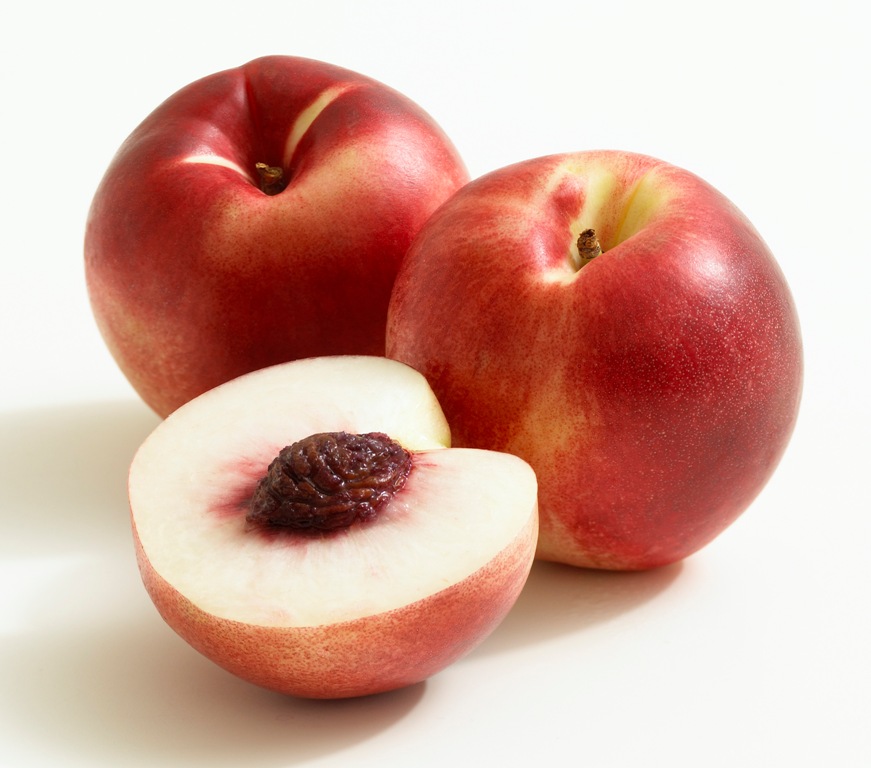 معرفی و راهنمای نگهداری درختان میوه - شلیل